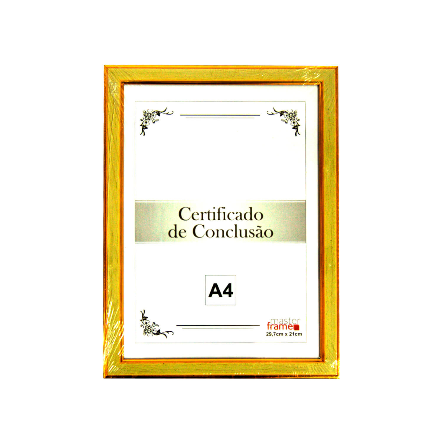 Lojas-TEM-Quadro-Moldura-Plástico-Certificado-21-29,7cm-Master-Frame