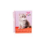 caderno-universitario-10×1-200-folhas-capa-dura-pup-4un-maxima-1500705841